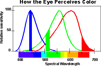 How the Eye sees Color